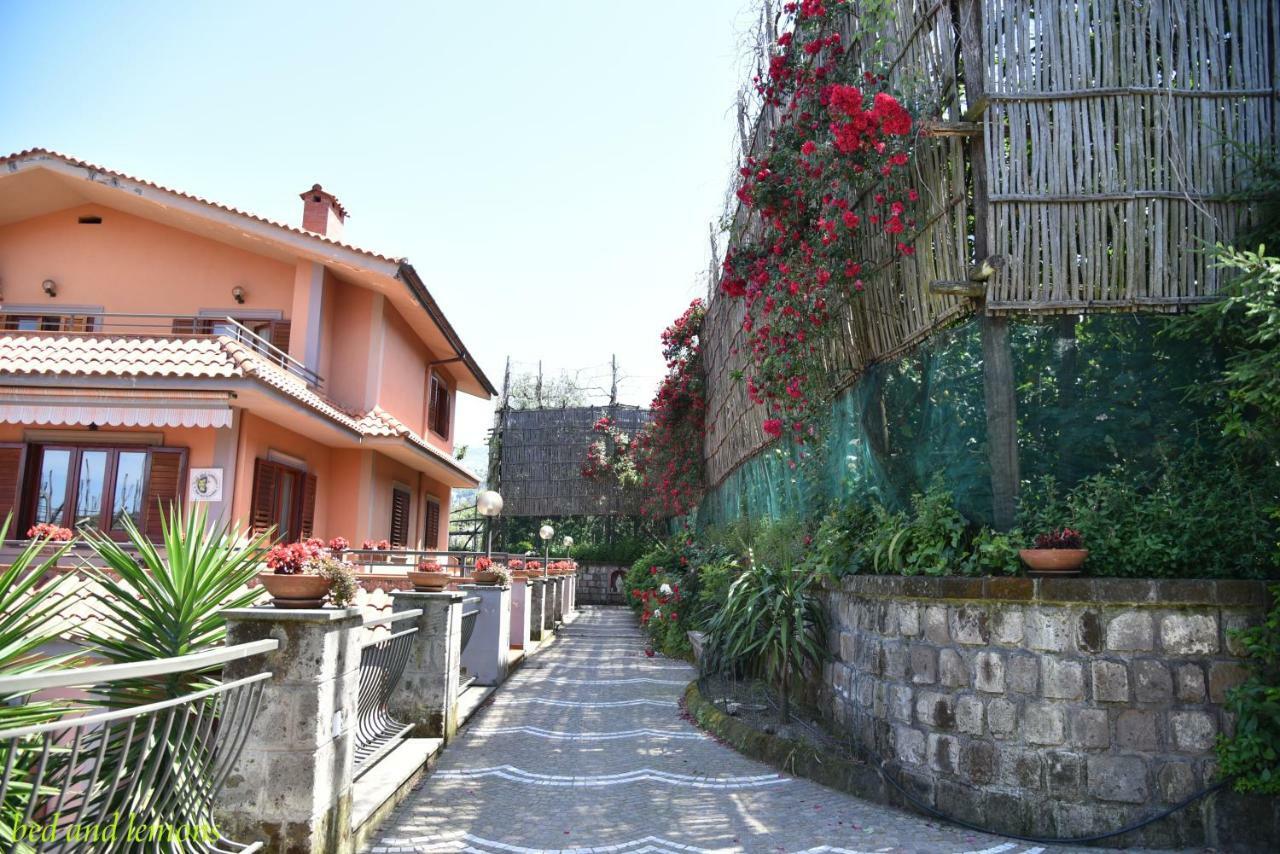 Bed and Breakfast Bed And Lemons Piano di Sorrento Exterior foto