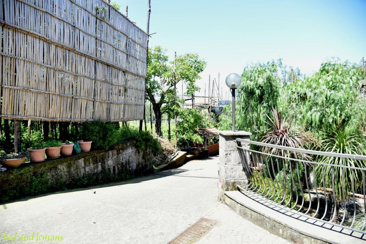 Bed and Breakfast Bed And Lemons Piano di Sorrento Exterior foto