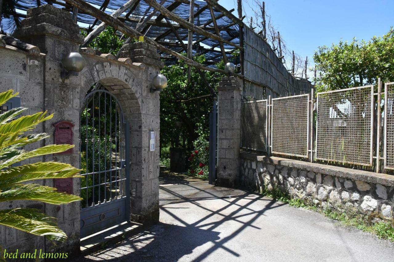 Bed and Breakfast Bed And Lemons Piano di Sorrento Exterior foto